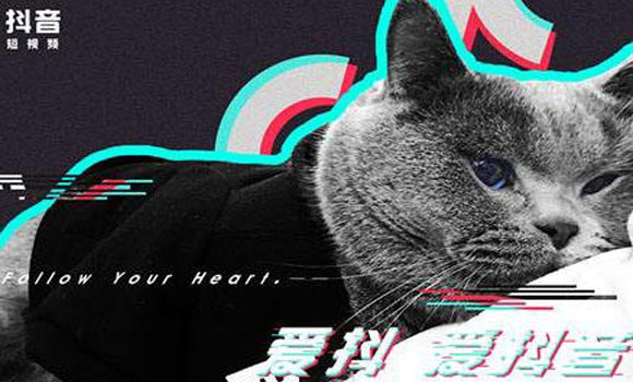 如何利用工具提高抖音的運(yùn)營(yíng)