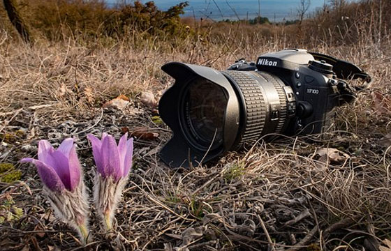 MG動畫設(shè)計中的創(chuàng)意構(gòu)思分析